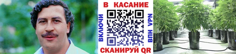 Купить наркотик аптеки Южноуральск Alpha-PVP  Бошки Шишки  Меф мяу мяу  Метадон  ГАШ 