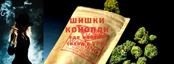 тгк Лагань