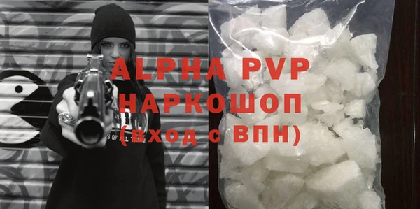 прущие грибы Ладушкин