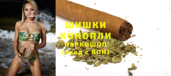 прущие грибы Ладушкин