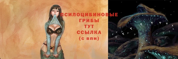 прущие грибы Ладушкин