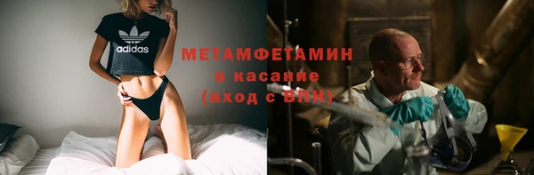 прущие грибы Ладушкин