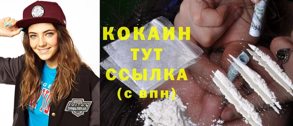 прущие грибы Ладушкин