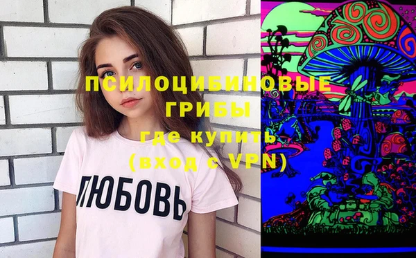 прущие грибы Ладушкин
