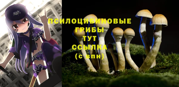 кокс Лабытнанги