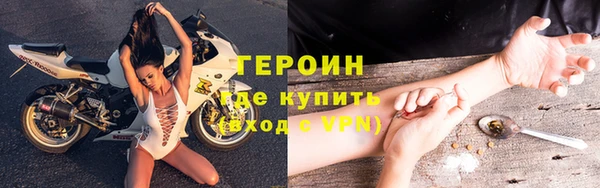прущие грибы Ладушкин