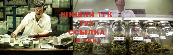 прущие грибы Ладушкин