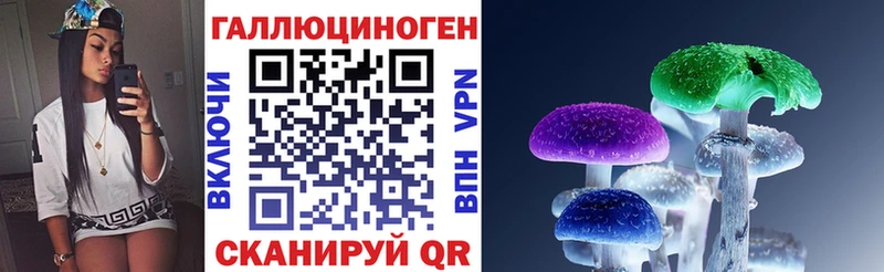 наркота  Южноуральск  Галлюциногенные грибы мицелий 
